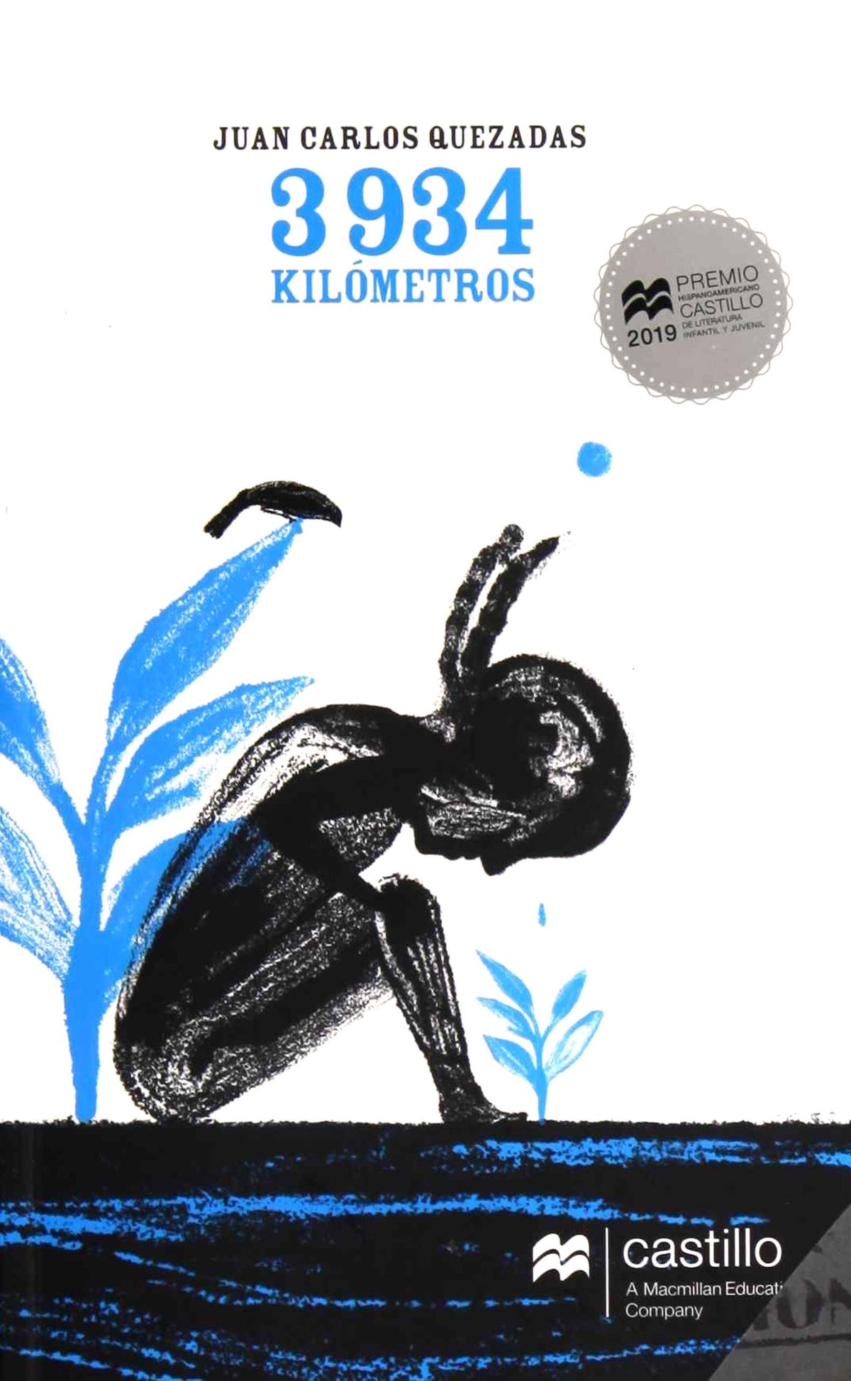 3934 Kilometros