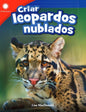Criar leopardos nublados