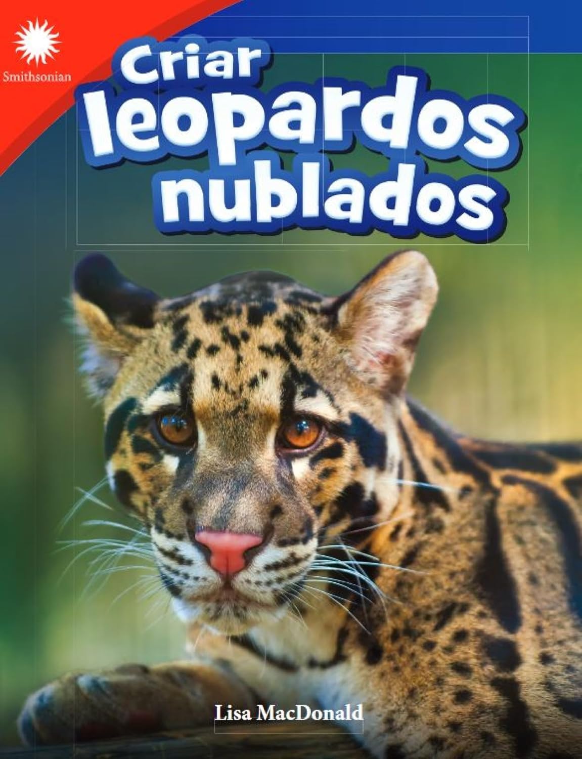 Criar leopardos nublados