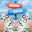 Izquierda y derecha