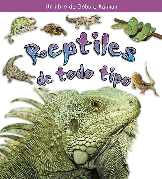 Reptiles de todo tipo (Reptiles of all Kinds)