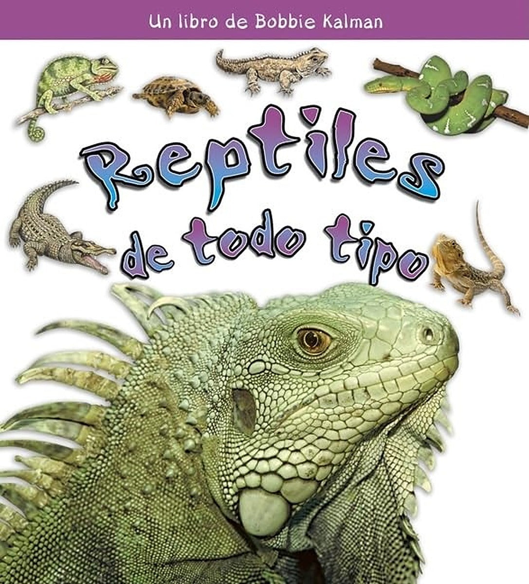 Reptiles de todo tipo (Reptiles of all Kinds)