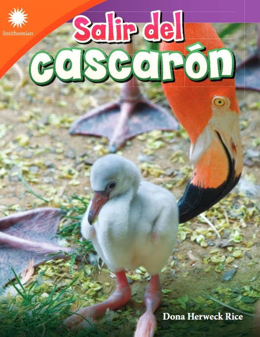 Salir del cascarón