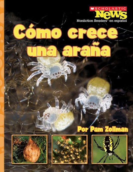 Cómo crece una araña