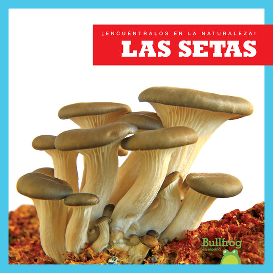 Las setas