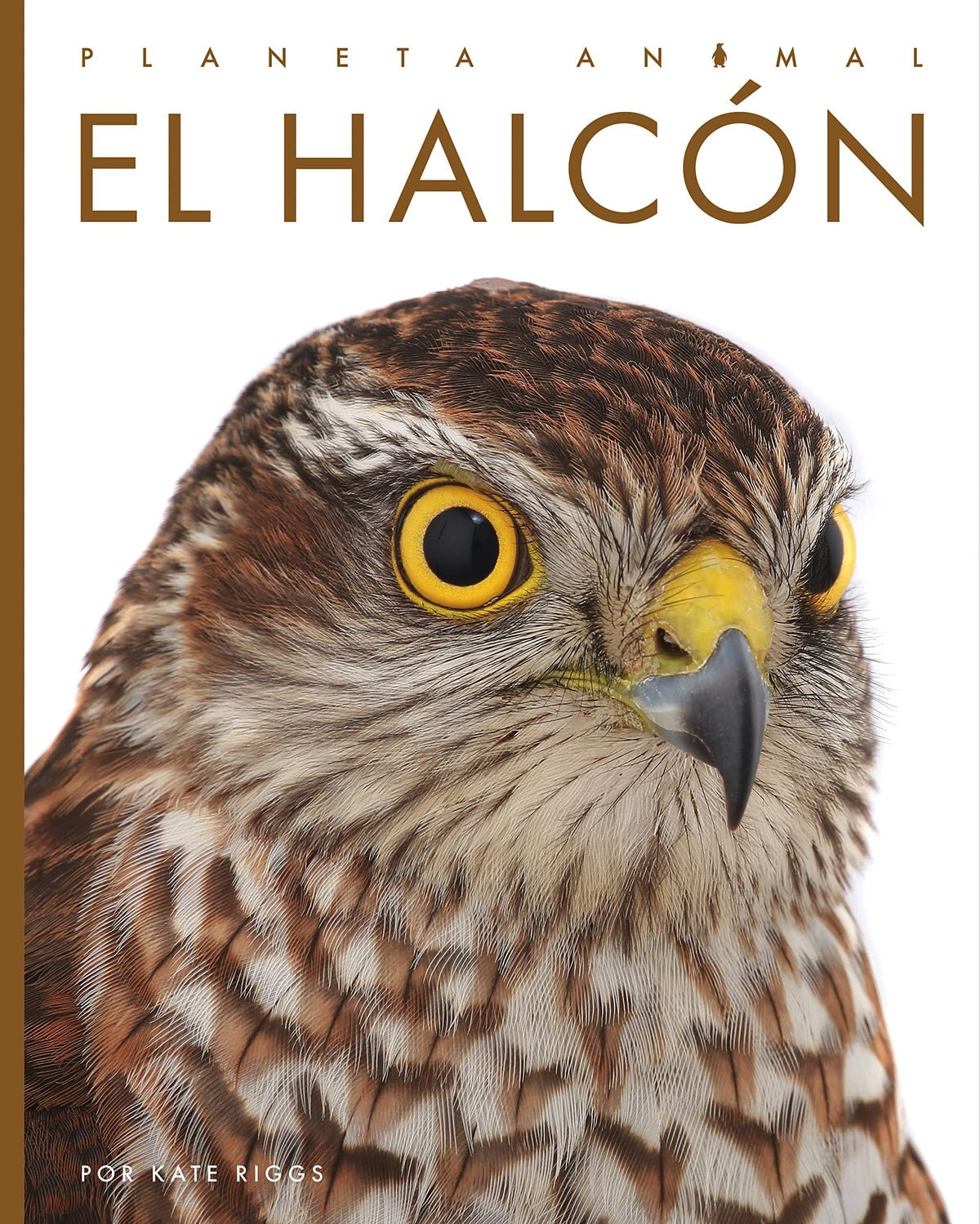 El halcón