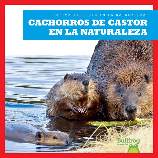 Cachorros de castor en la naturaleza
