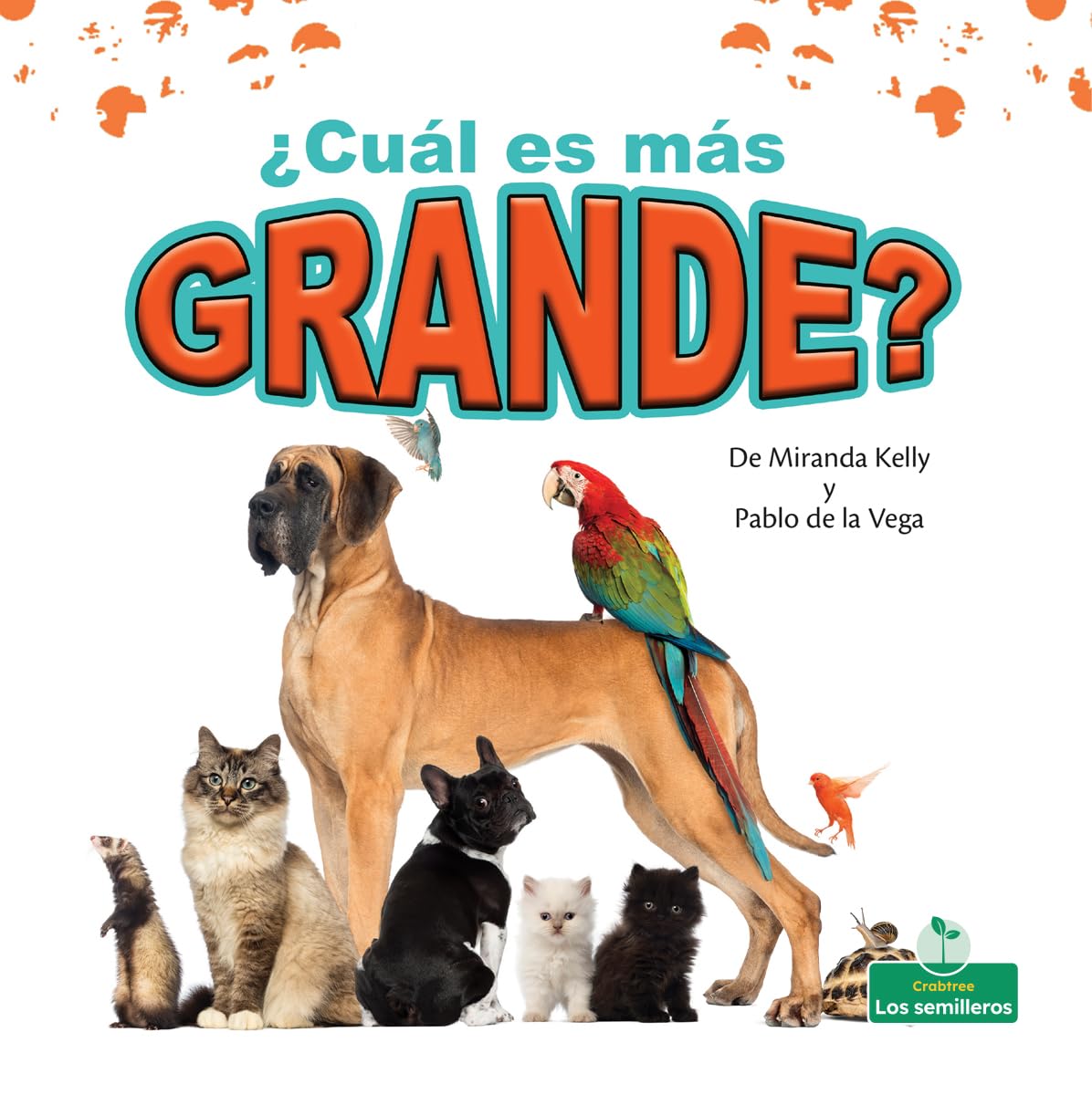 ¿Cuál es más grande?