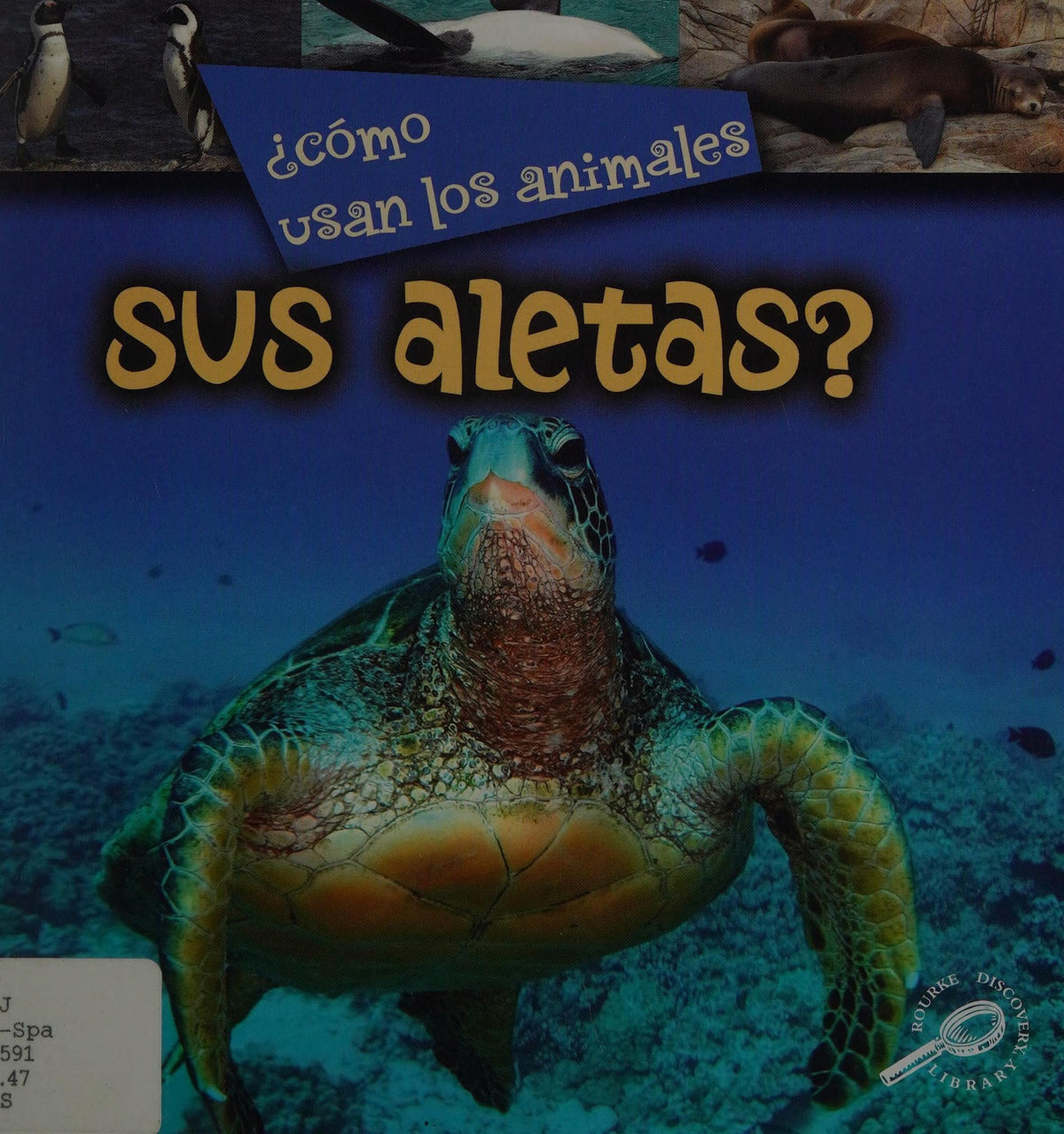 ¿Como usan los animales… sus aletas?