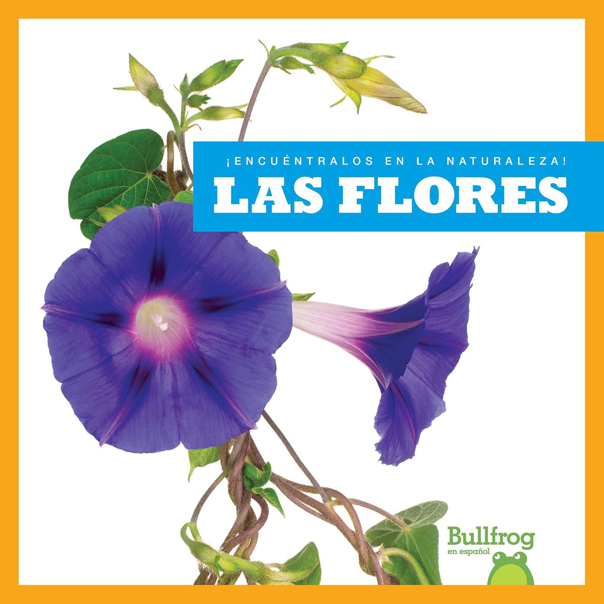 Las flores