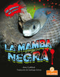 La mamba negra
