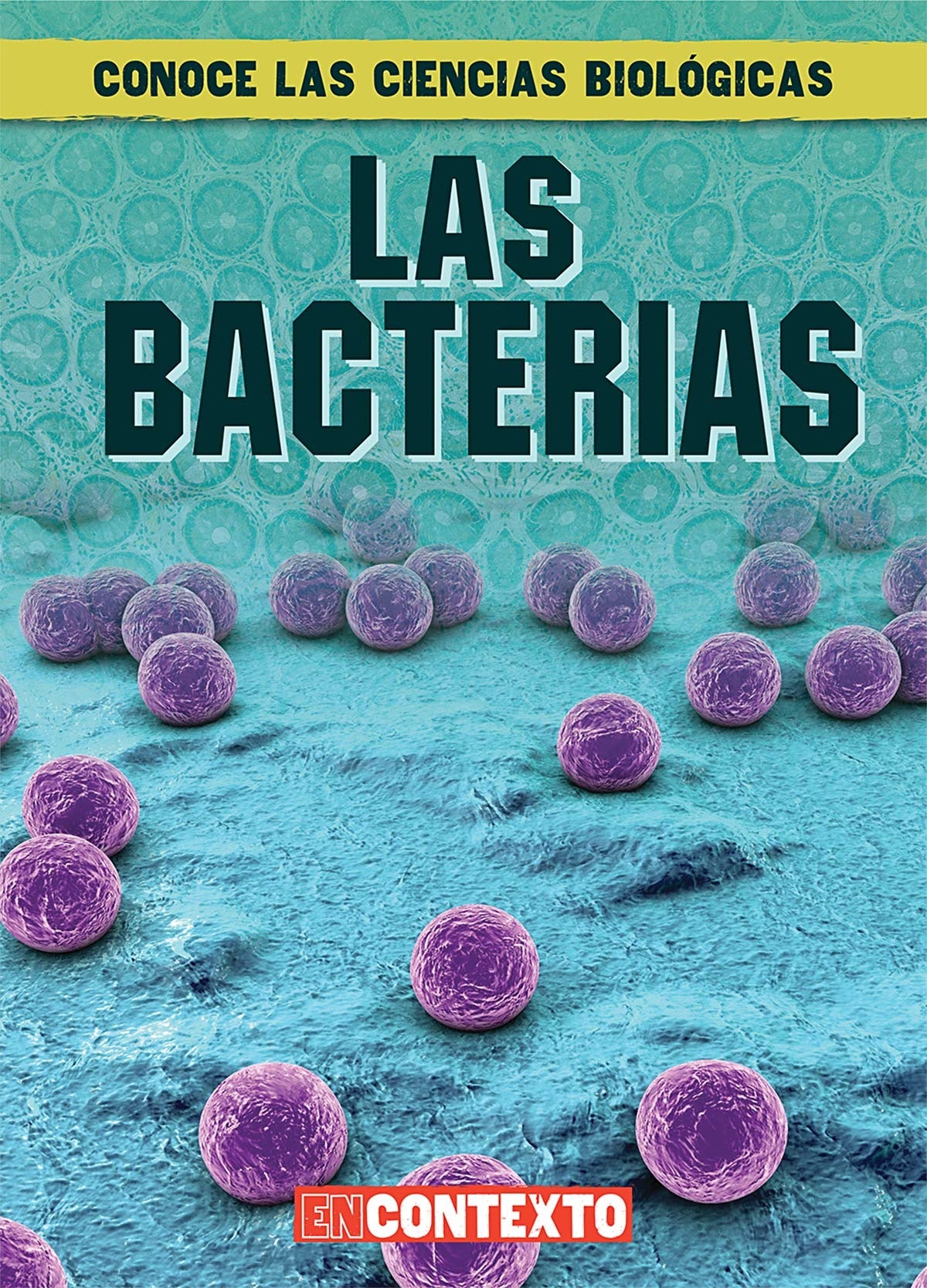Las bacterias (What Are Bacteria?)