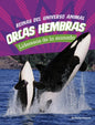 Orcas hembras