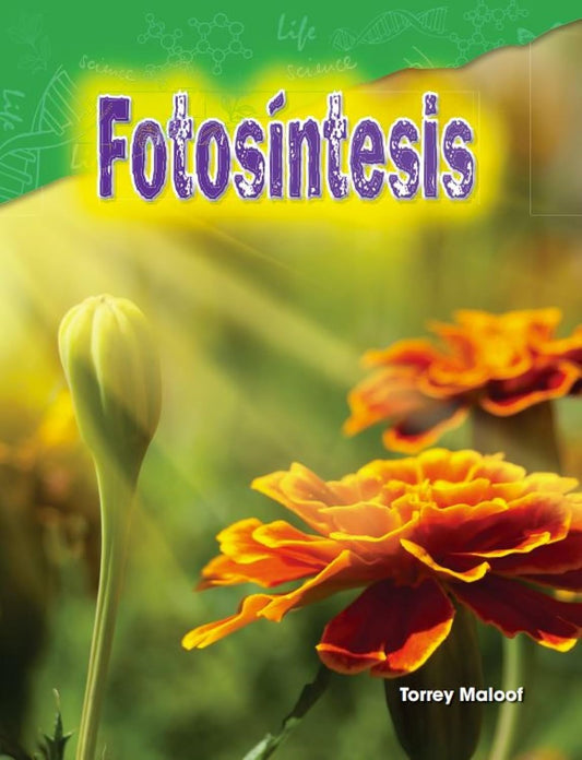 Fotosíntesis