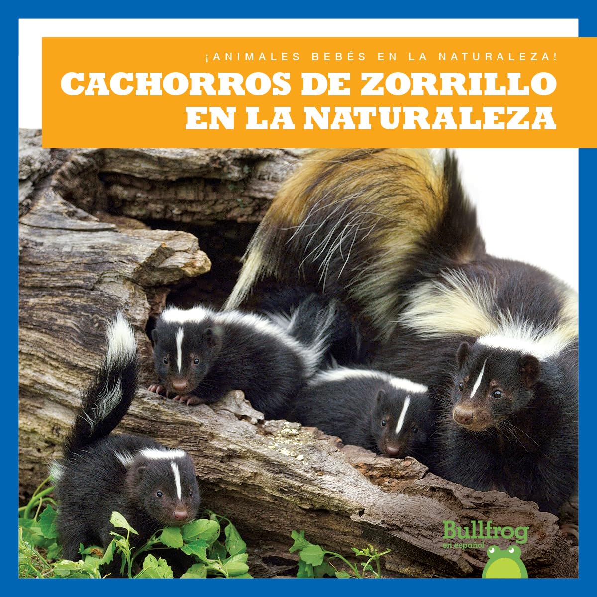 Cachorros de zorrillo en la naturaleza