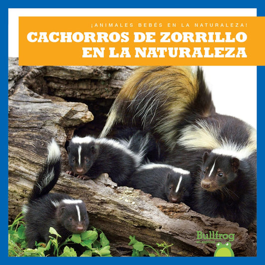 Cachorros de zorrillo en la naturaleza