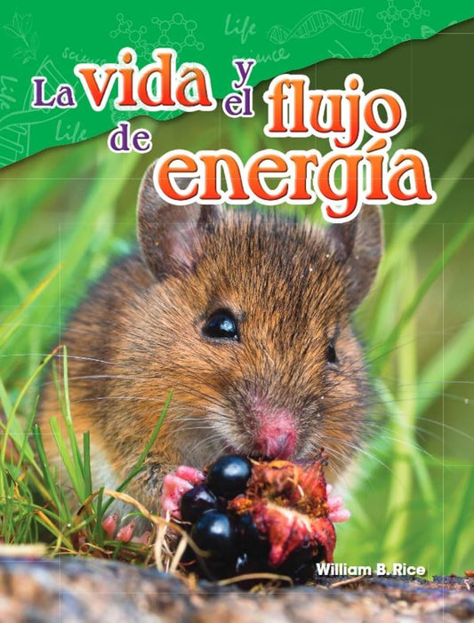 La vida y el flujo de energía