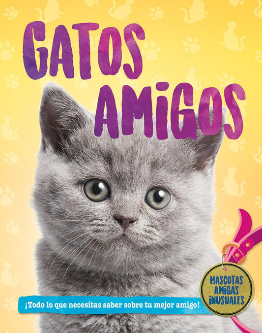 Gatos amigos