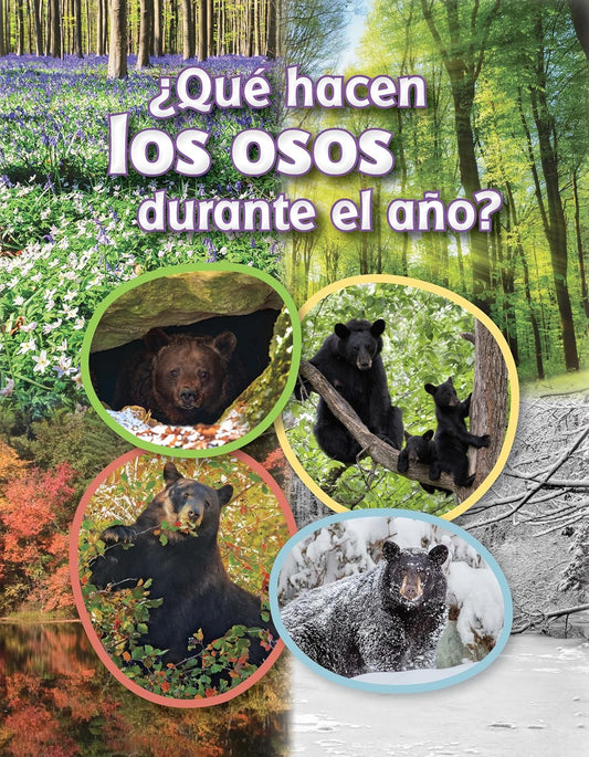 ¿Qué hacen los osos durante el año?