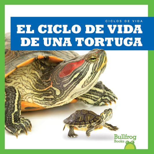 El ciclo de vida de una tortuga