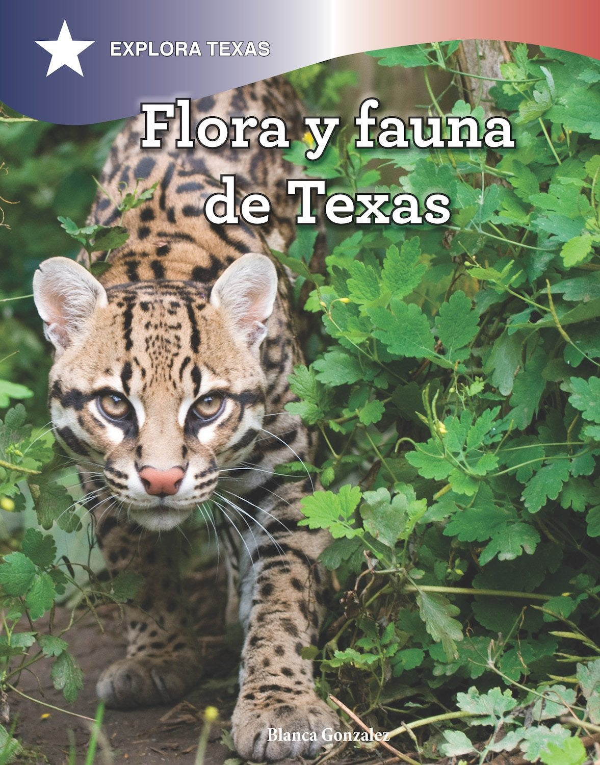 Flora y fauna de Texas (The Animals and Vegetation of Texas)