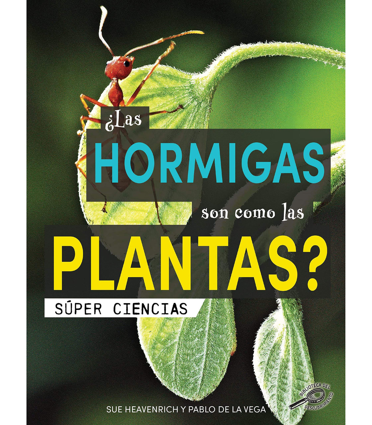 ¿Las hormigas son como las plantas?