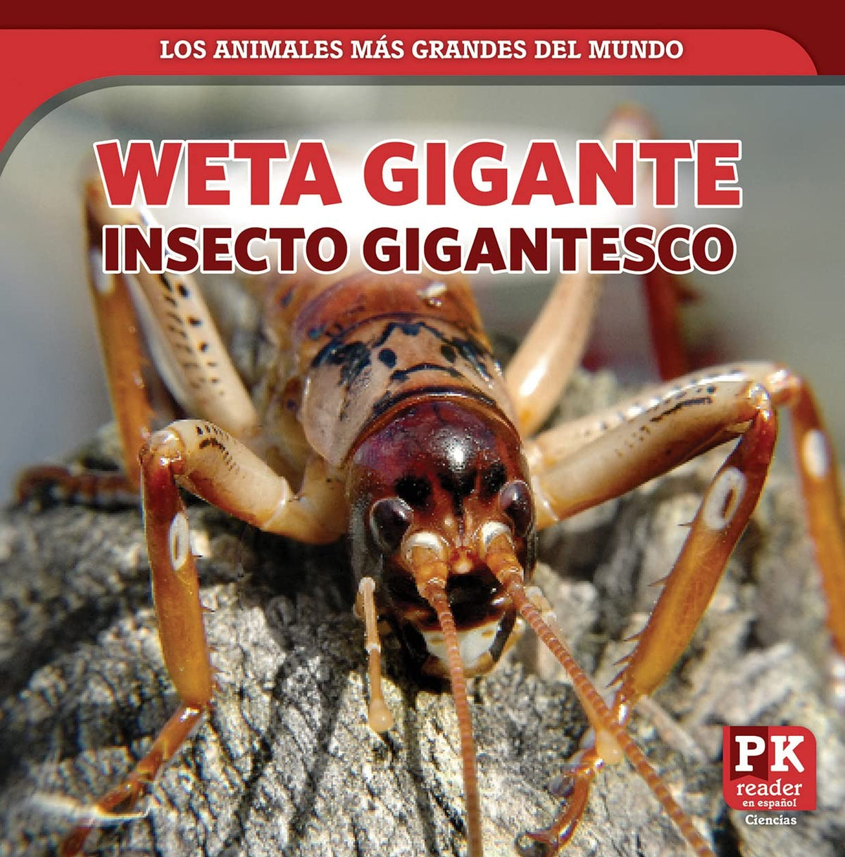 Weta gigante: insecto gigantesco (Giant Weta: Mammoth Insect)