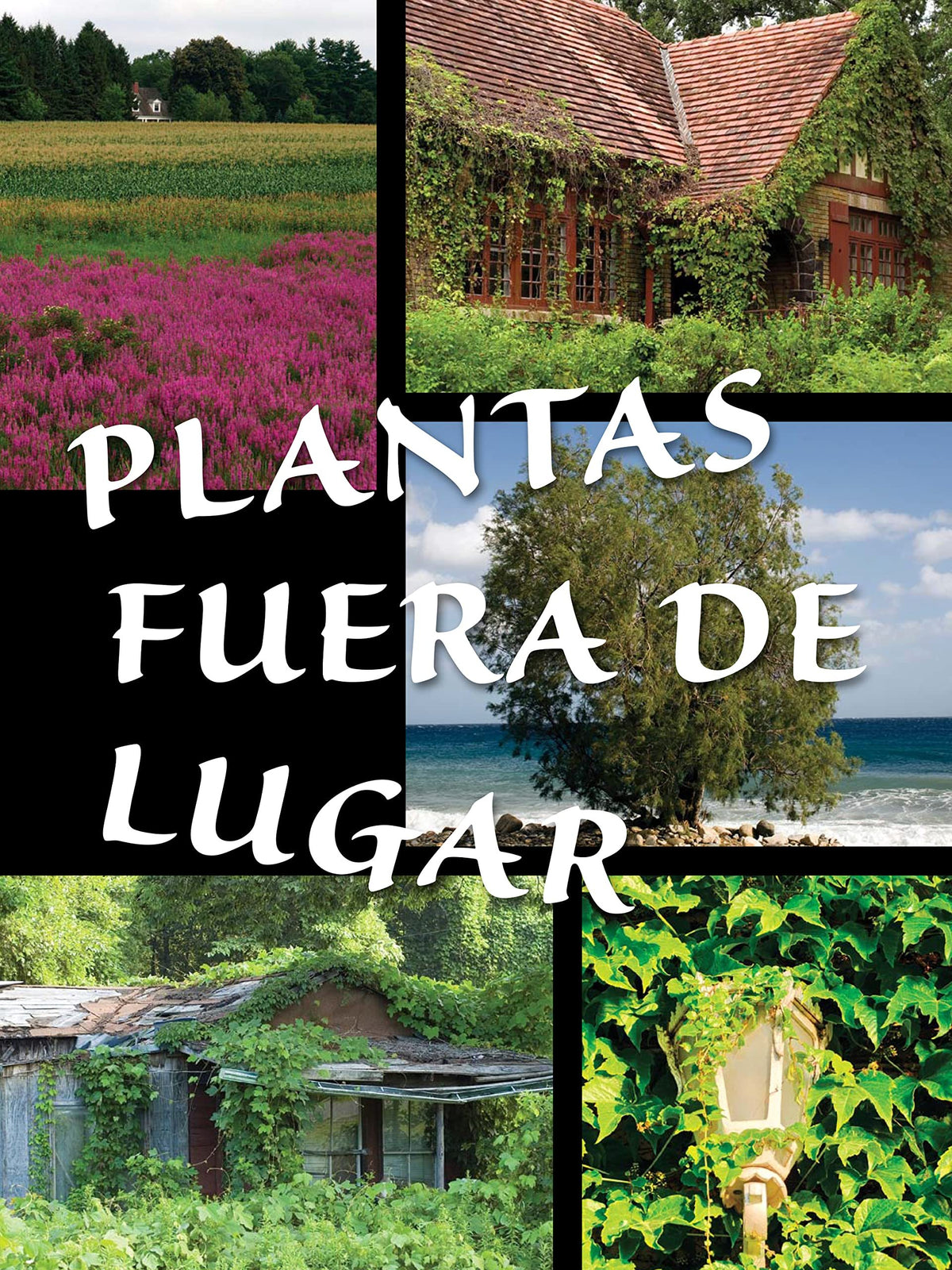 Plantas fuera de lugar (Plants Out of Place )