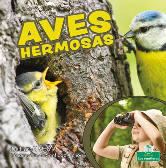Aves