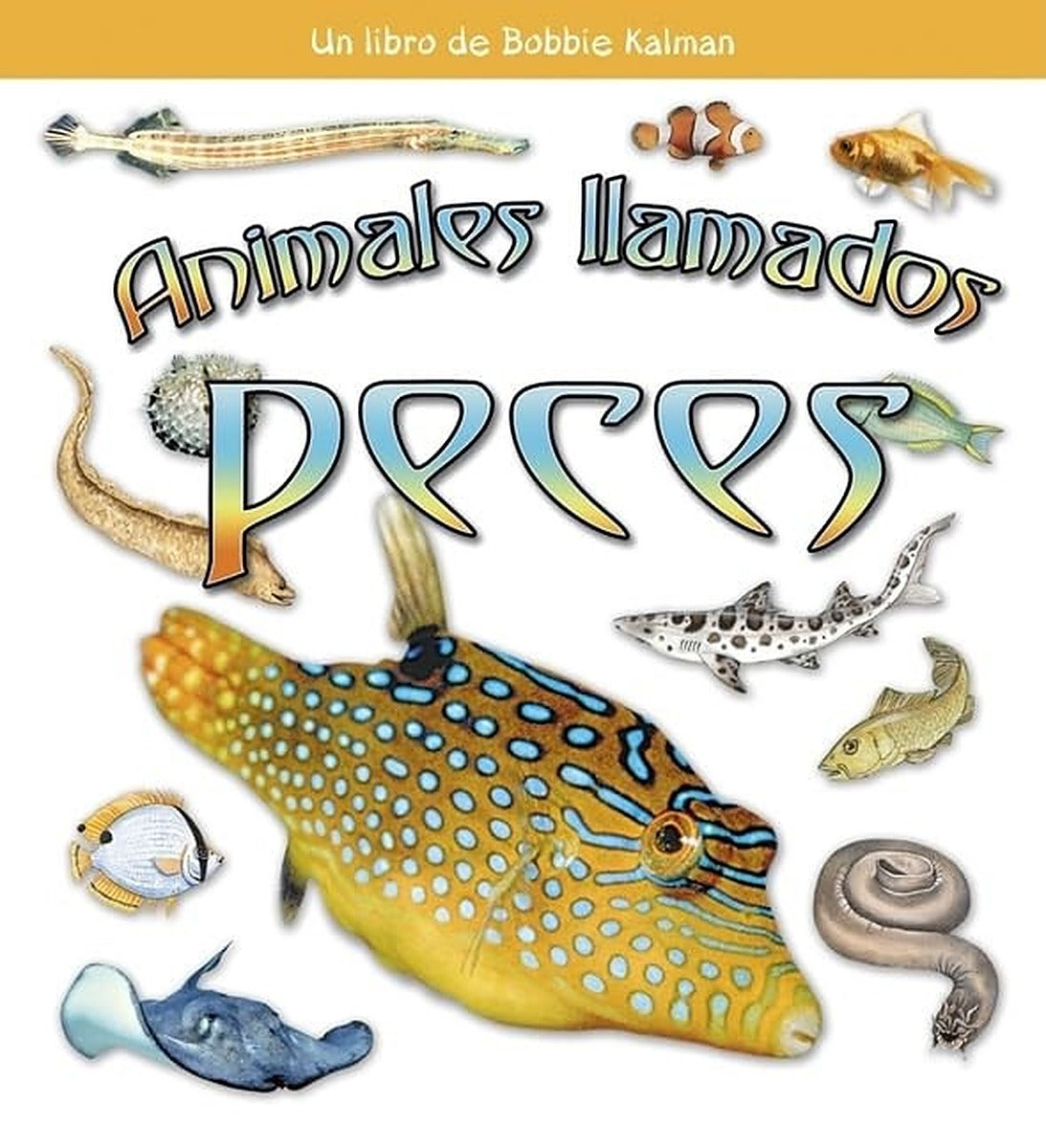 Animales llamos peces (Animals Called Fish)
