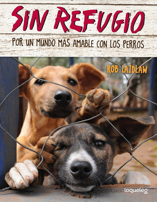 Sin refugio: Por un mundo más amable con los perros