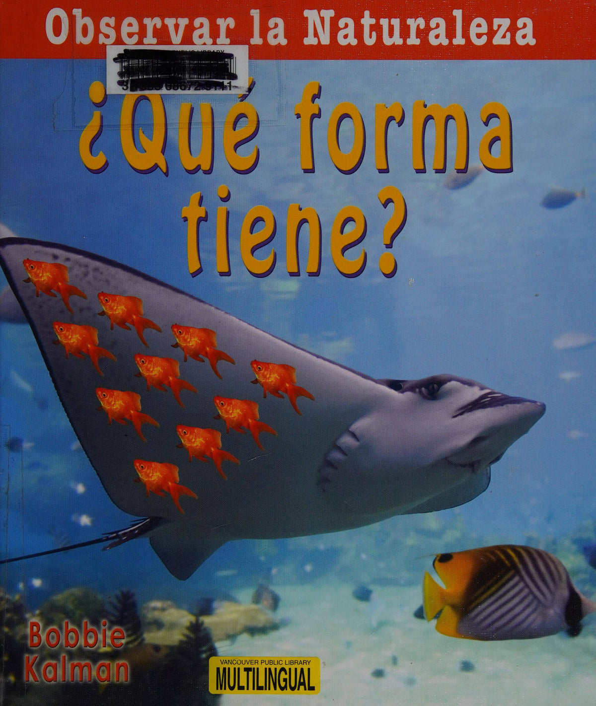 ¿Qué forma tiene? (What shape is it?)