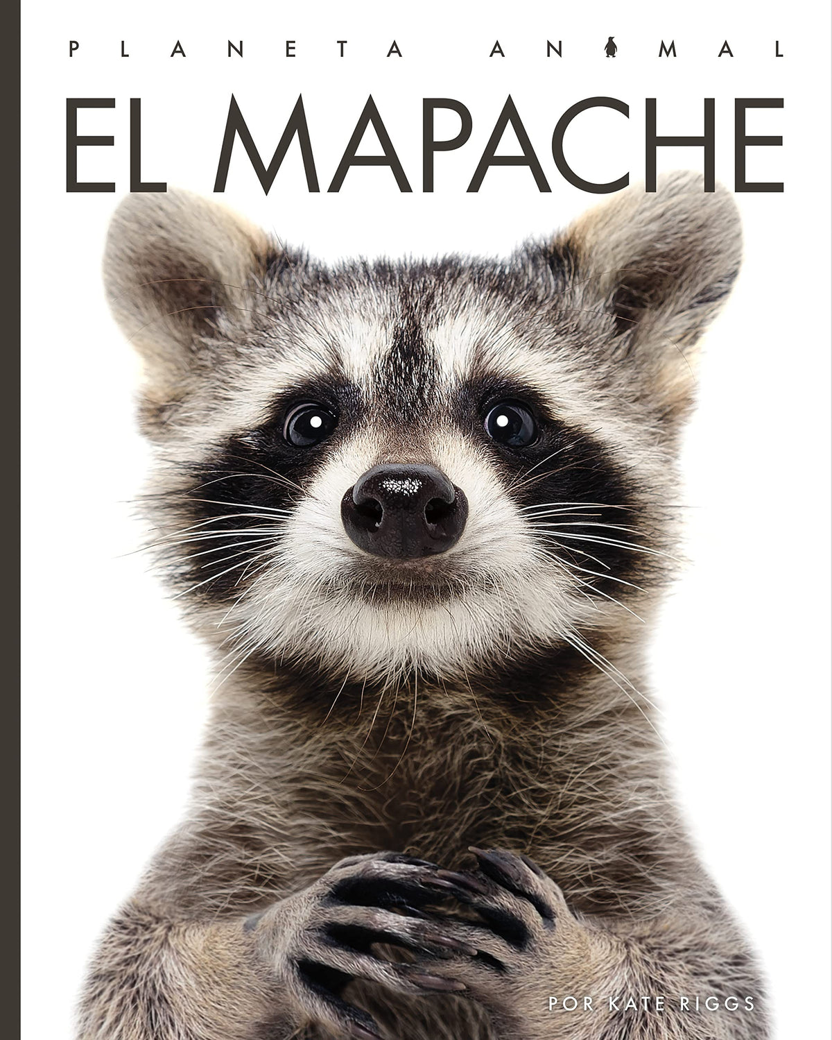 El mapache