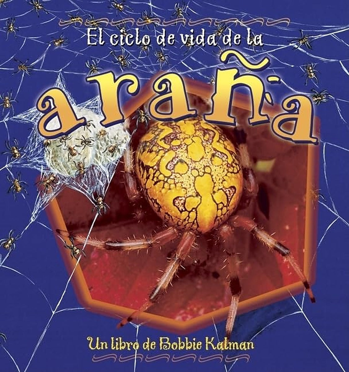 El ciclo de vida de la araña (The Life Cycle of a Spider)
