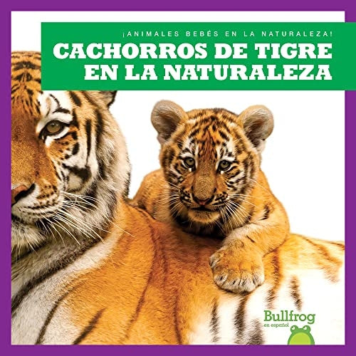 Cachorros de tigre en la naturaleza