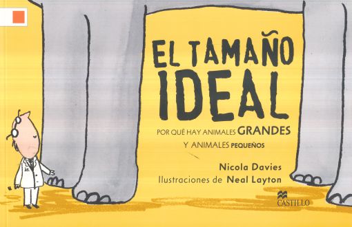 El tamaño ideal